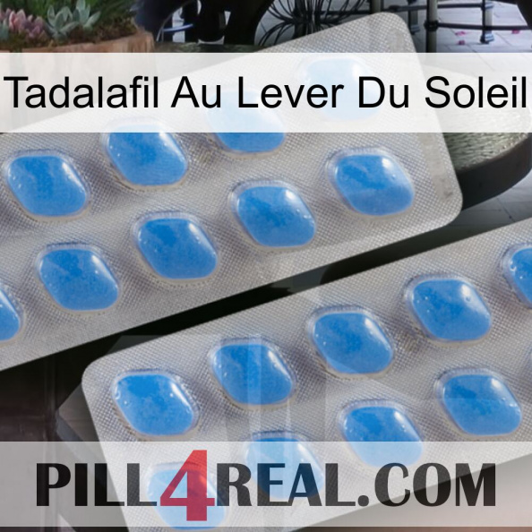 Sunrise Tadalafil 23